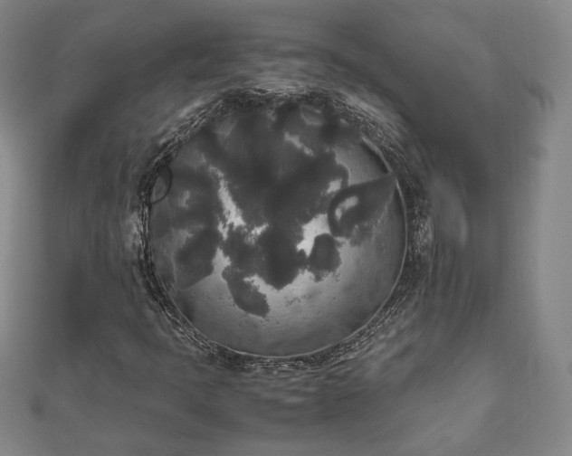 X0000111841397200907301040