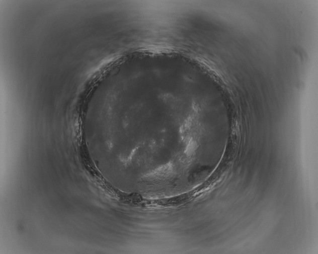 X0000111841398200907301040