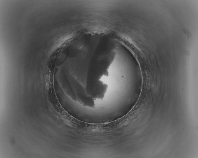 X0000111841399200907301040