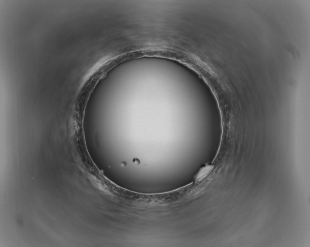 X0000111841400200907301040