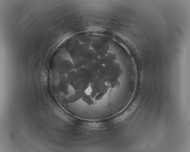 X0000111841401200907301040