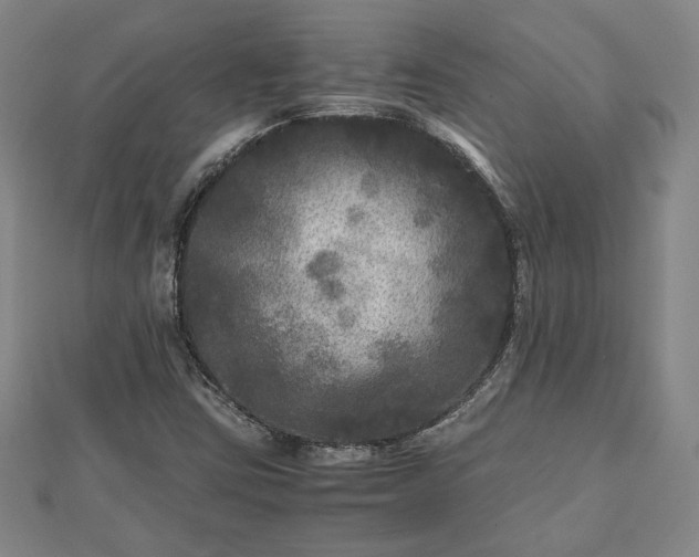 X0000111841403200907301040