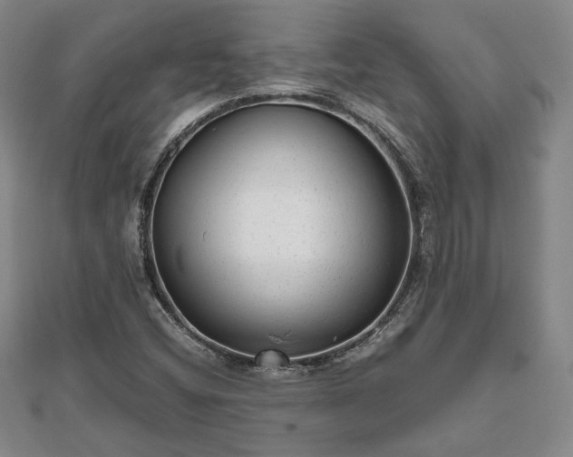 X0000111841404200907301040