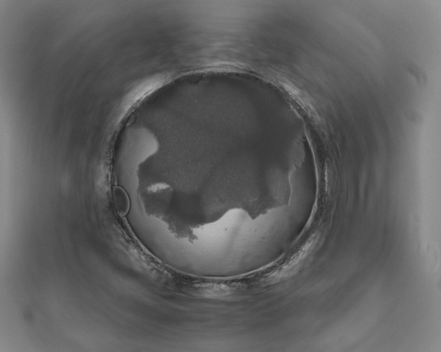 X0000111841405200907301040