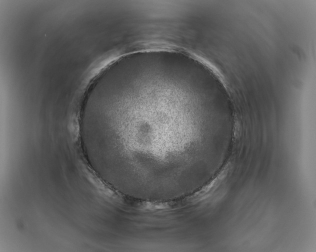 X0000111841407200907301040