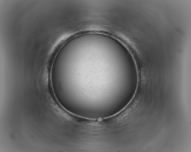 X0000111841408200907301040