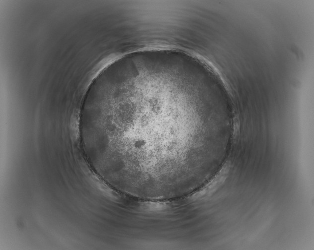 X0000111841409200907301040