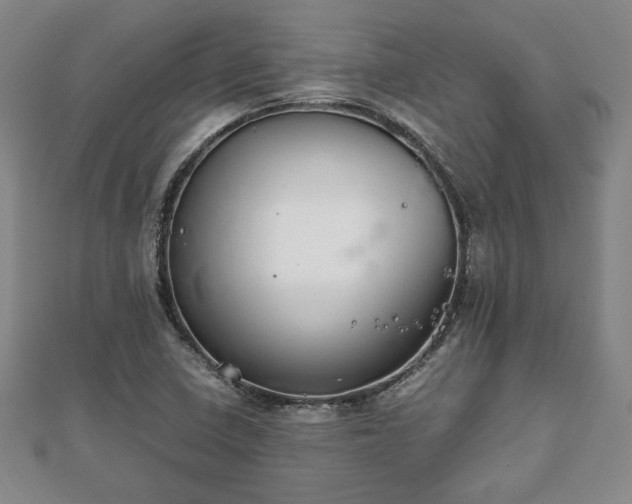 X0000111841410200907301040