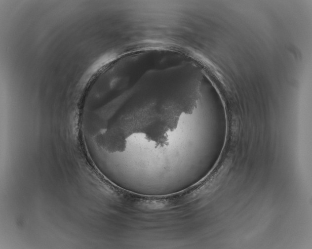 X0000111841411200907301040