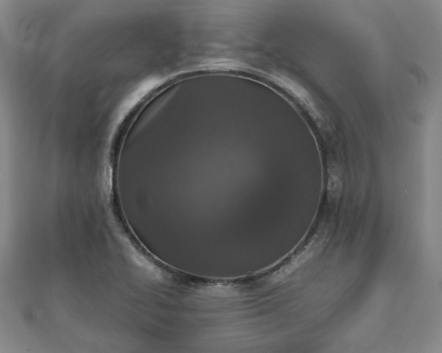 X0000111841414200907301040