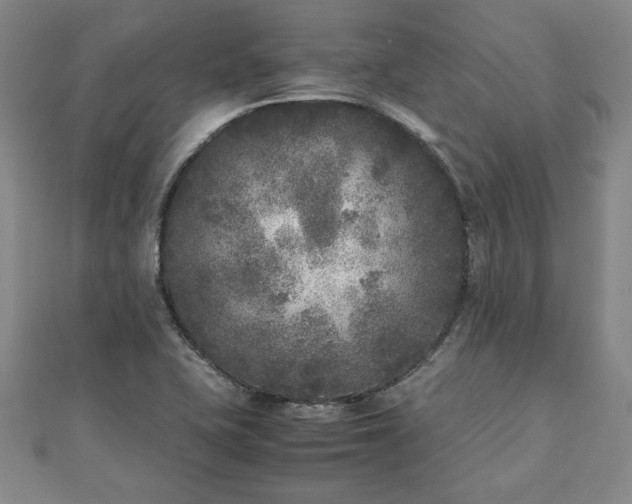 X0000111841415200907301040