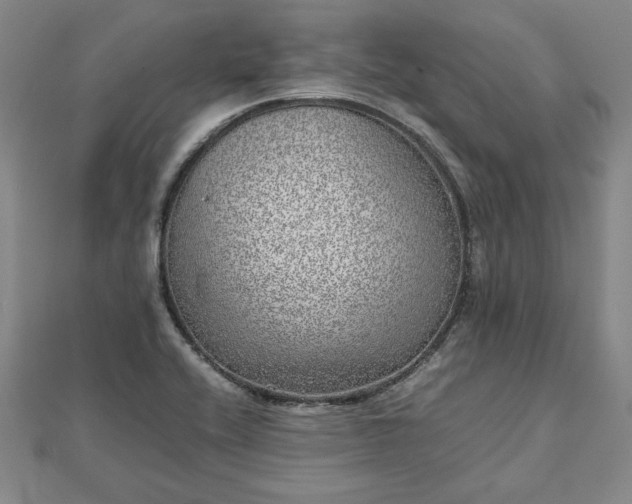 X0000111841416200907301040