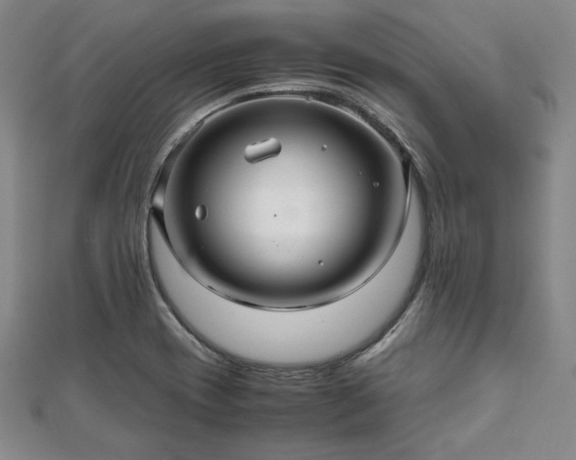 X0000111841417200907301040