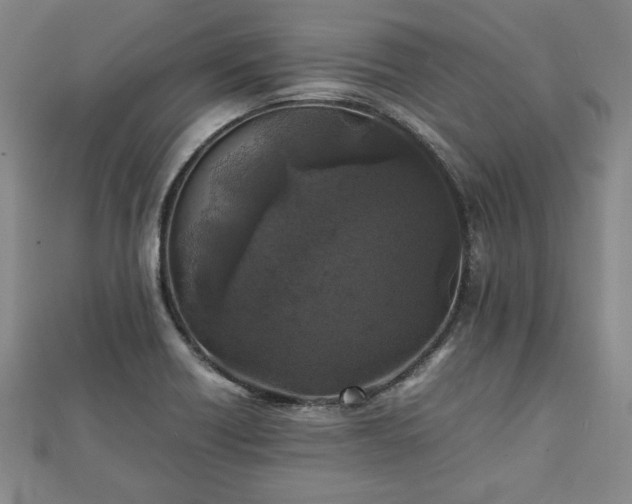 X0000111841418200907301040