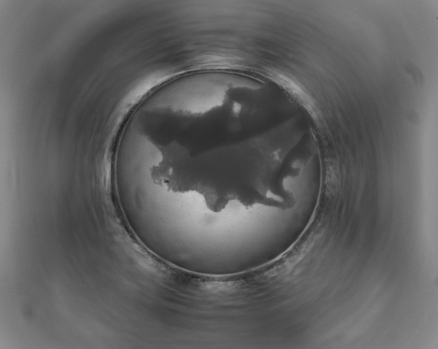 X0000111841419200907301040