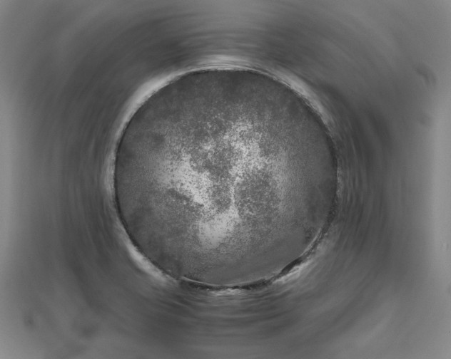 X0000111841421200907301040