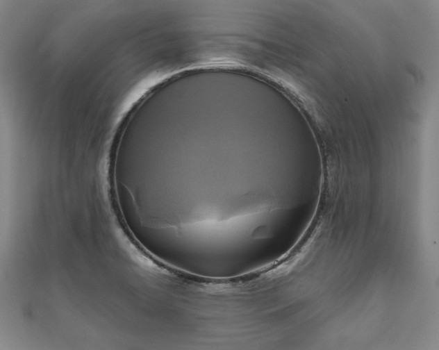 X0000111841422200907301040