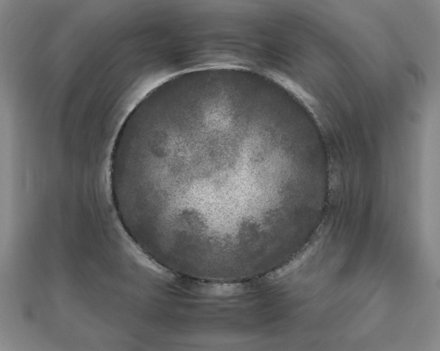 X0000111841423200907301040