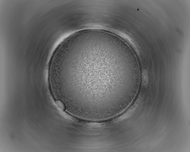 X0000111841424200907301040