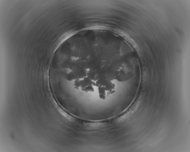 X0000111841425200907301040