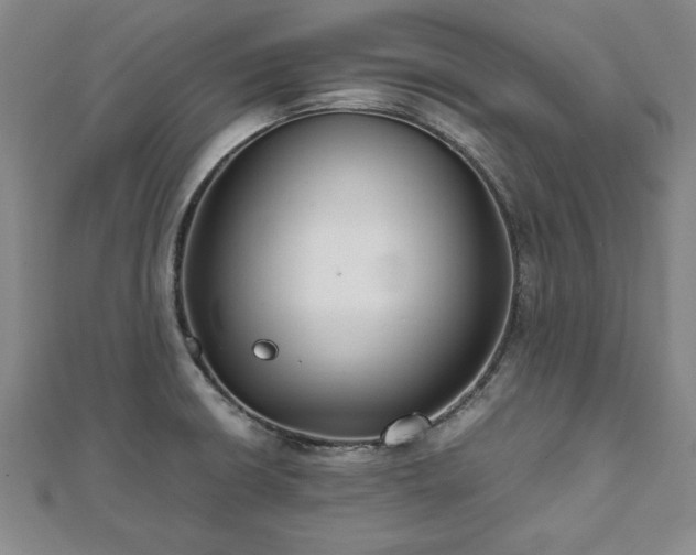 X0000111841426200907301040