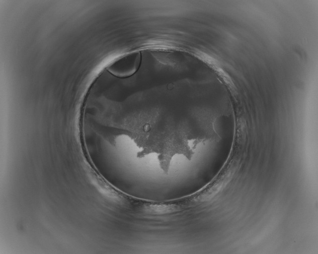 X0000111841427200907301040