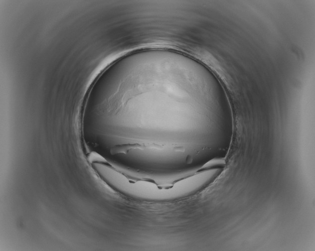 X0000111841428200907301040