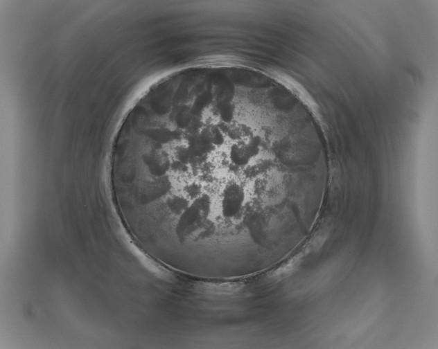 X0000111841429200907301040