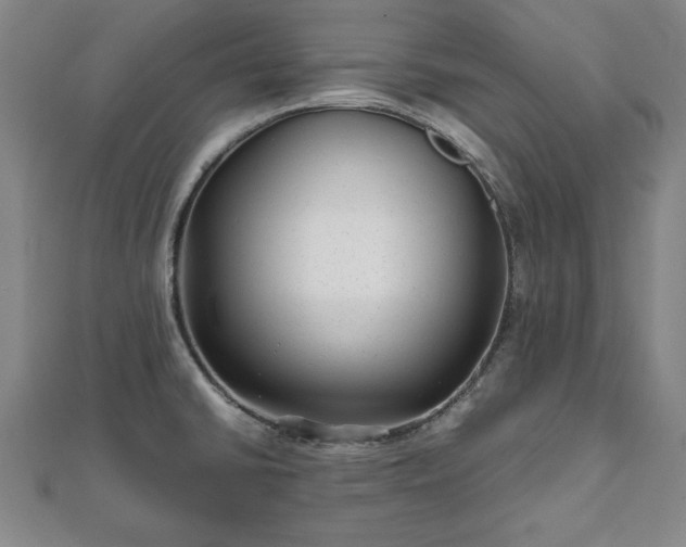 X0000111841430200907301040