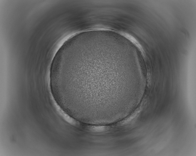 X0000111841431200907301040