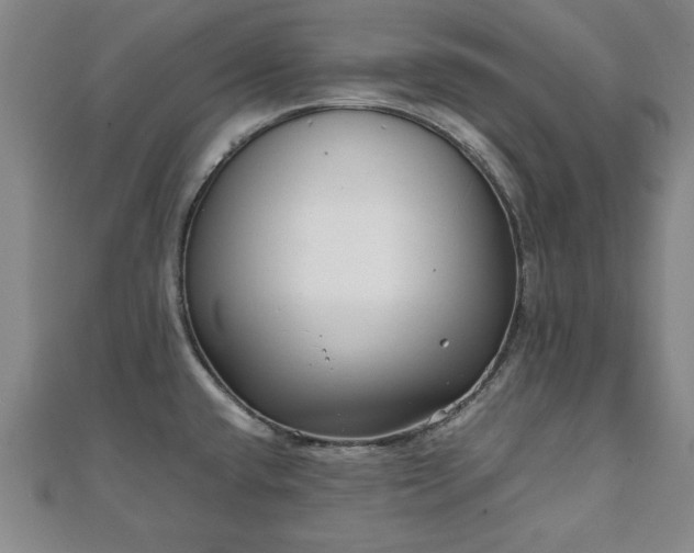 X0000111841432200907301040