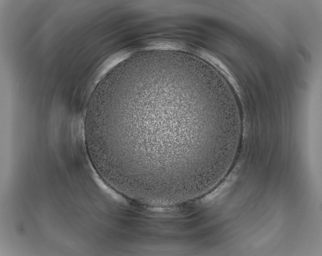 X0000111841433200907301040