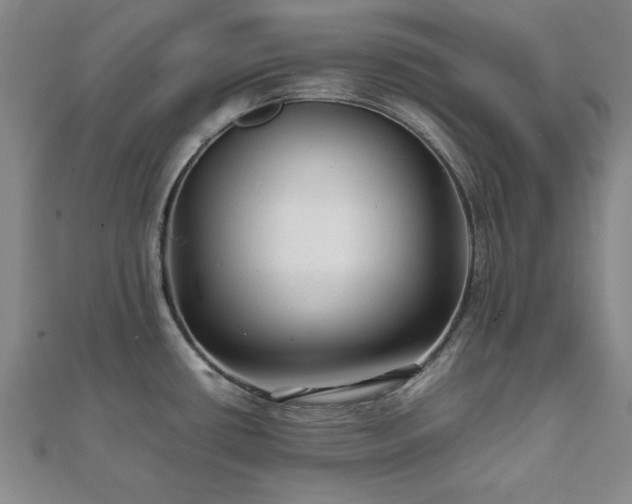 X0000111841434200907301040