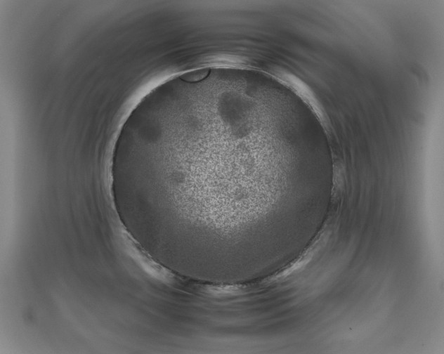 X0000111841435200907301040