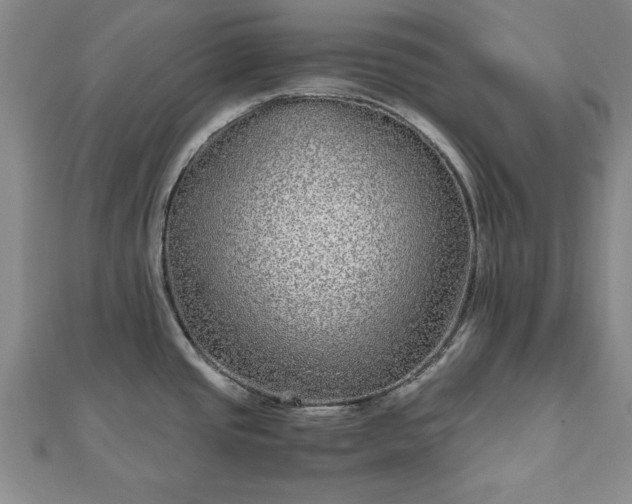 X0000111841437200907301040