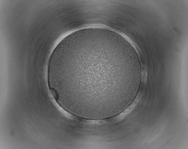 X0000111841438200907301040