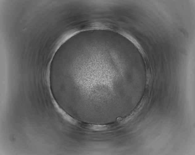 X0000111841439200907301040