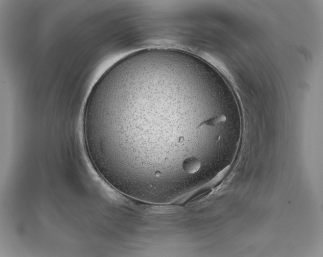 X0000111841440200907301040