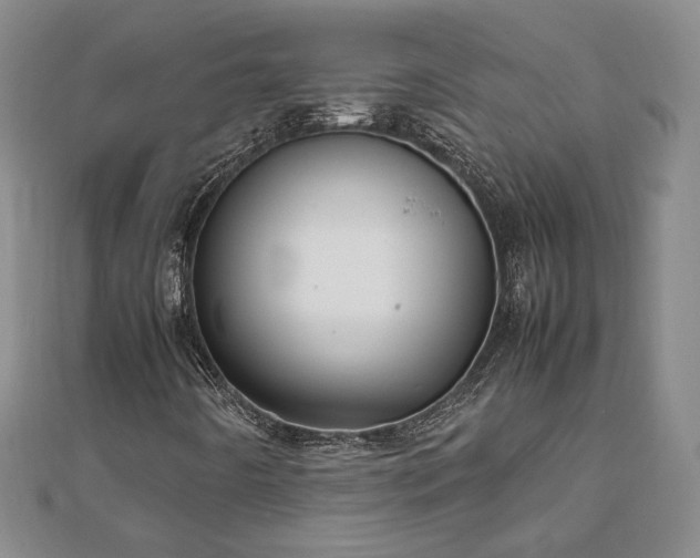 X0000111841442200907301040