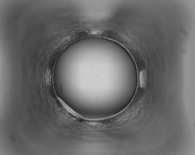 X0000111841443200907301040