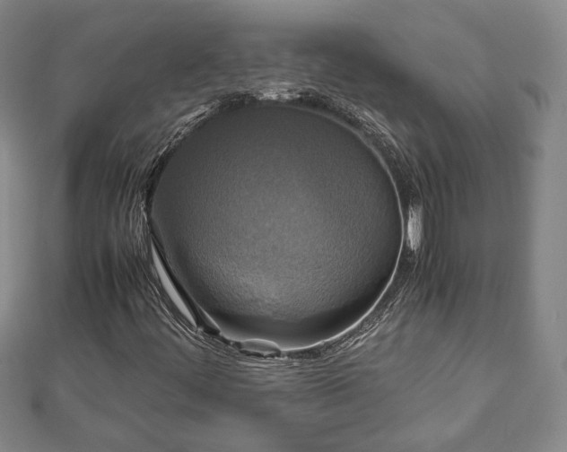 X0000111841444200907301040