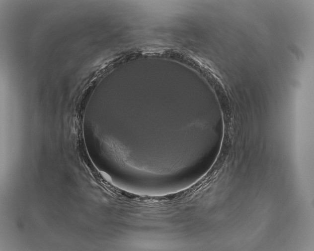 X0000111841445200907301040