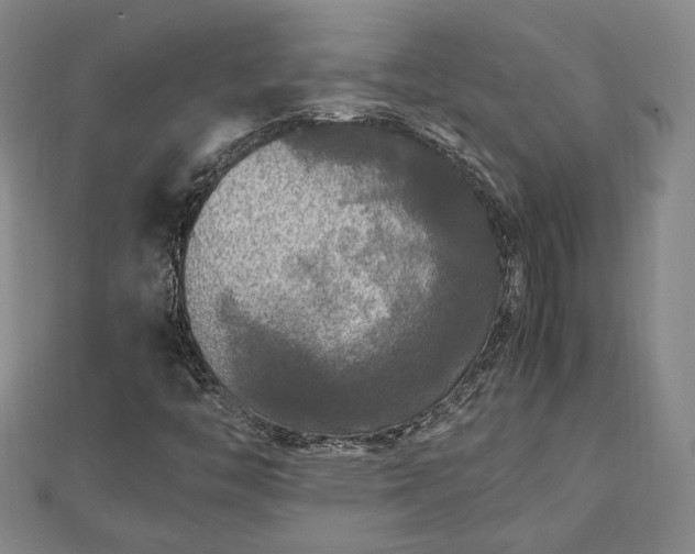 X0000111841446200907301040