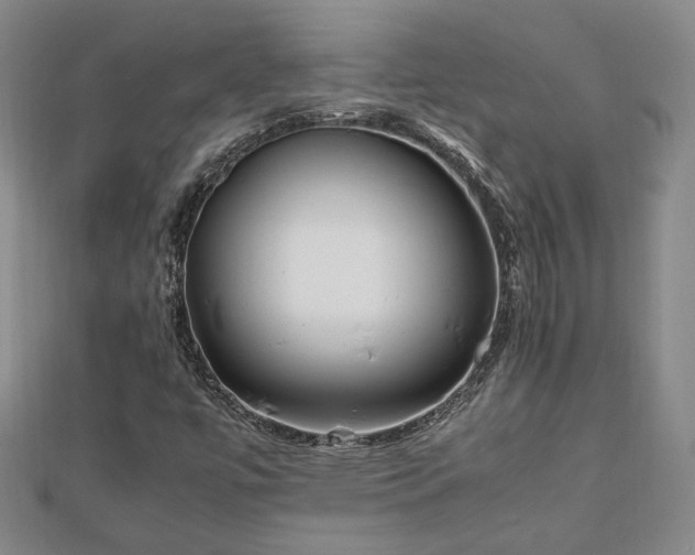 X0000111841447200907301040