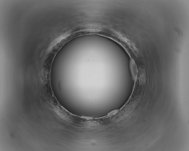 X0000111841448200907301040