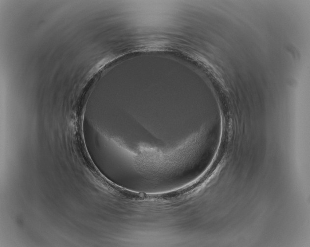 X0000111841449200907301040