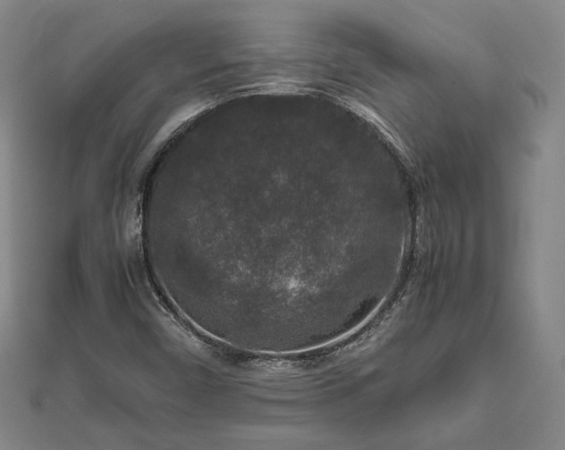 X0000111841450200907301040