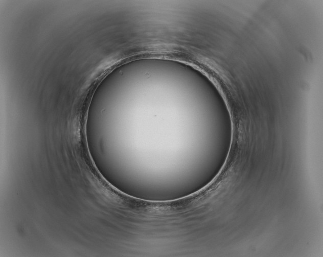 X0000111841451200907301040