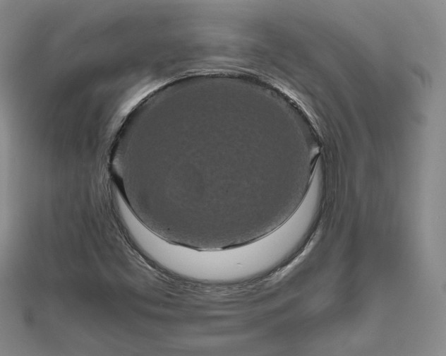 X0000111841453200907301040