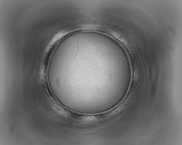 X0000111841454200907301040